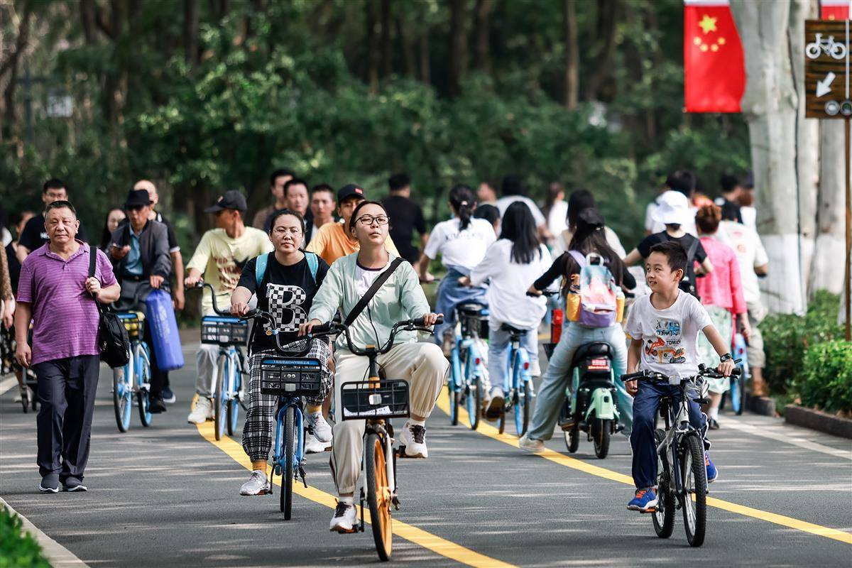 奔驰宝马娱乐场所网址